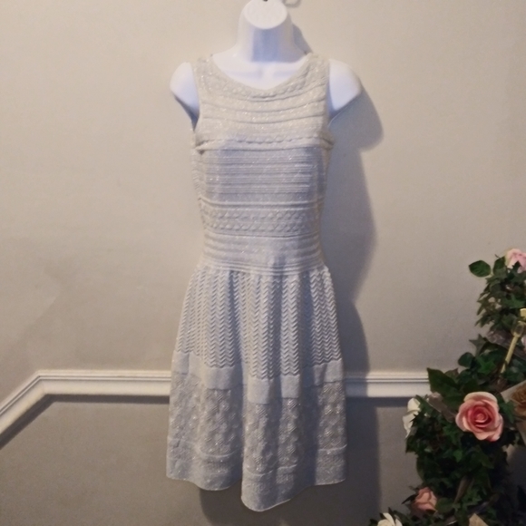 Lauren Ralph Lauren Sparkly Silver Intricate Knit Special Occasion Dress - Picture 12 of 12